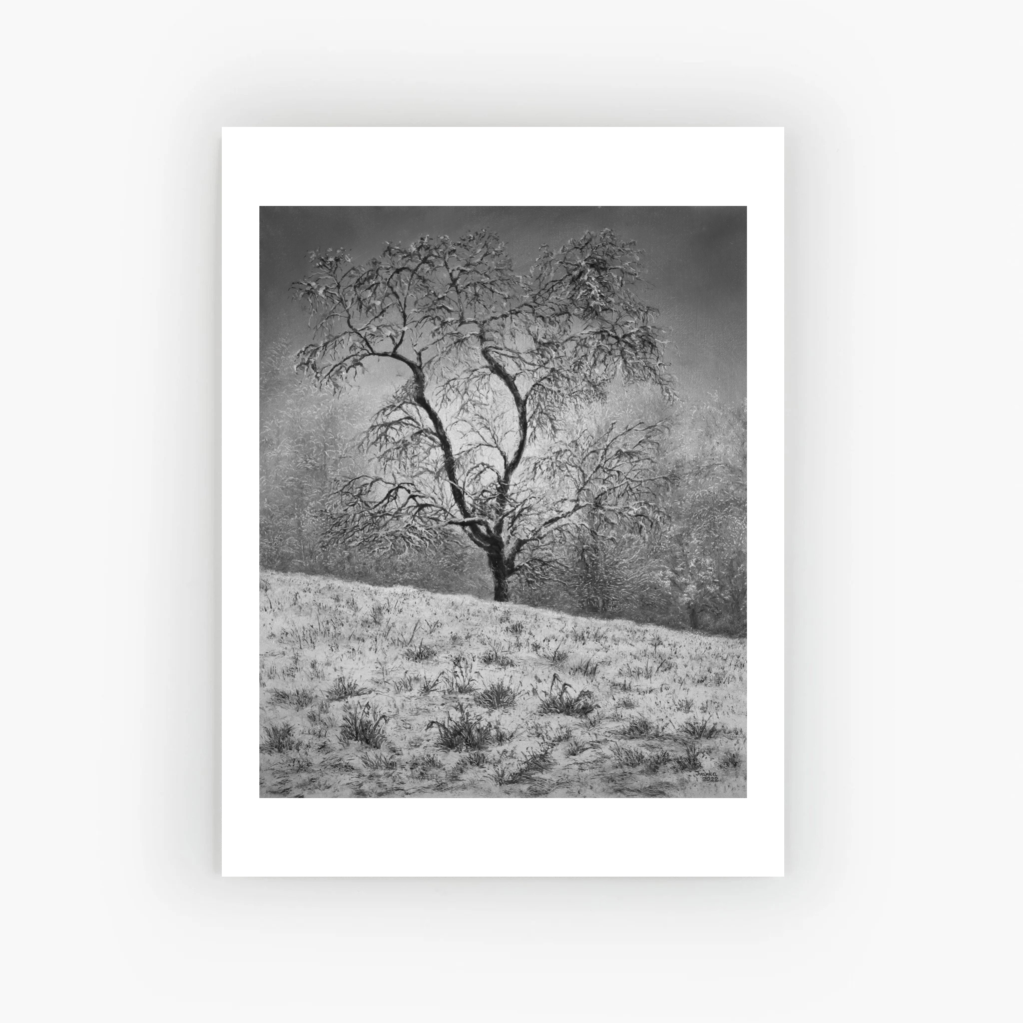  Valsesia - L’orgoglio congelato - Ivanka Art