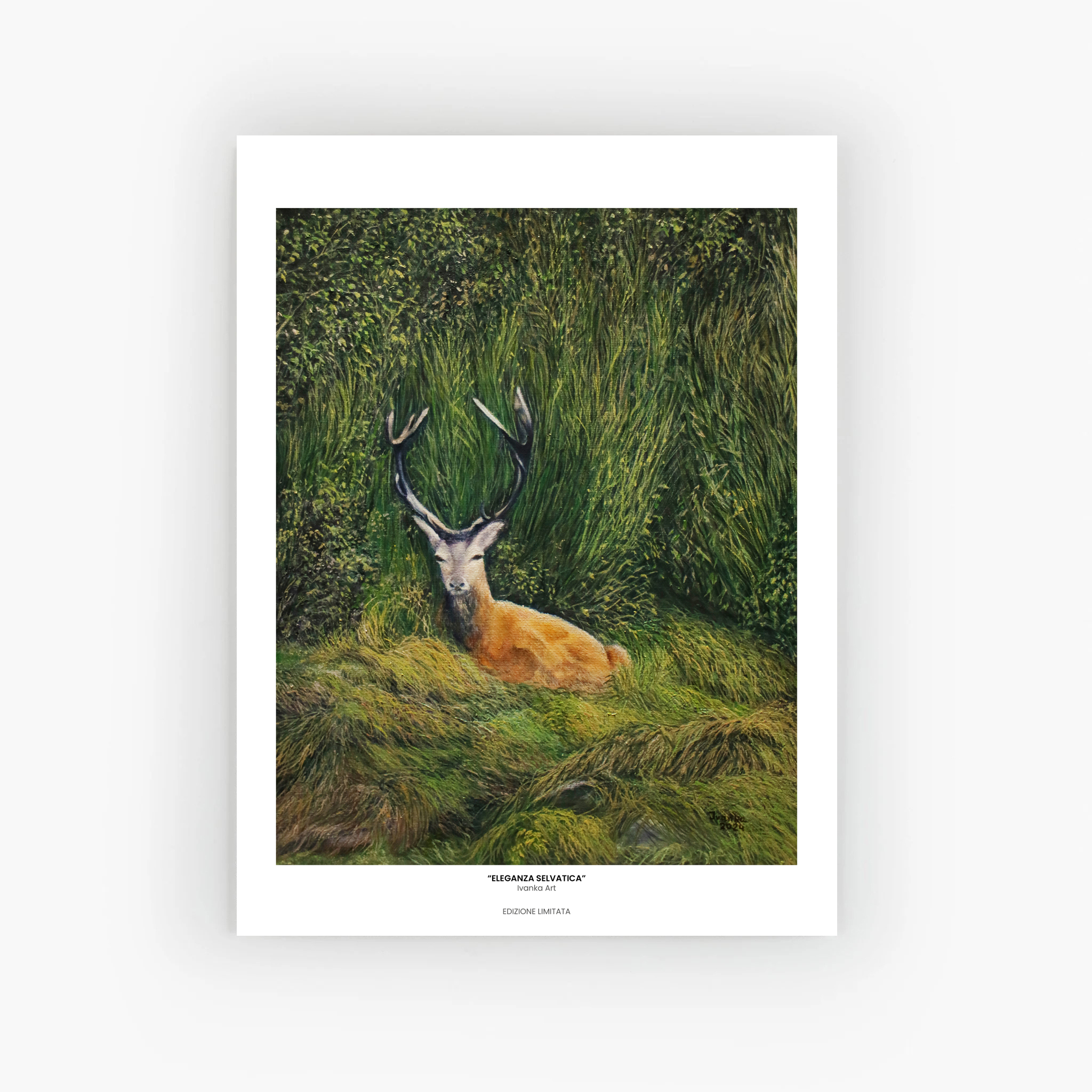  Valsesia - Eleganza selvatica - Ivanka Art