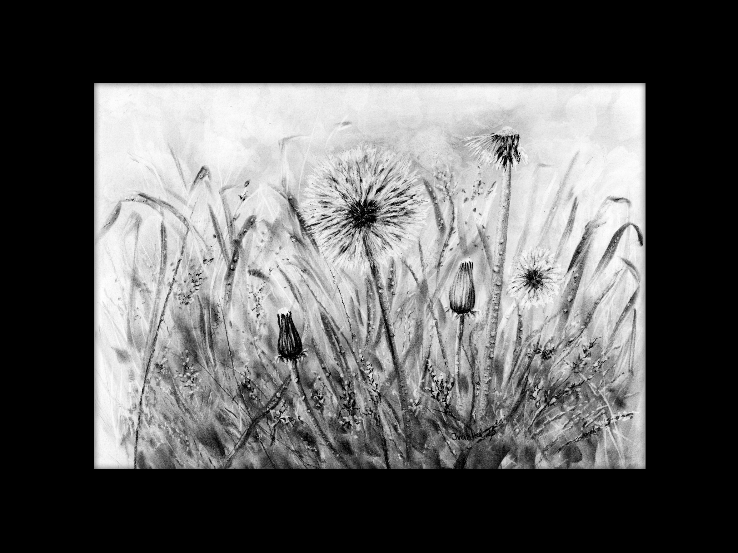 Varallo - Valsesia - Il Soffio dei Desideri - Ivanka Art