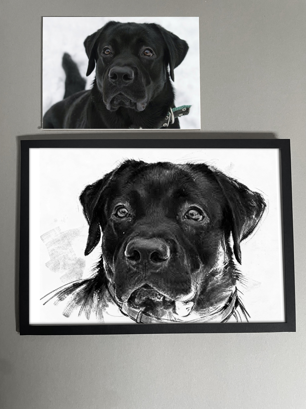 Ritratto cane a carboncino