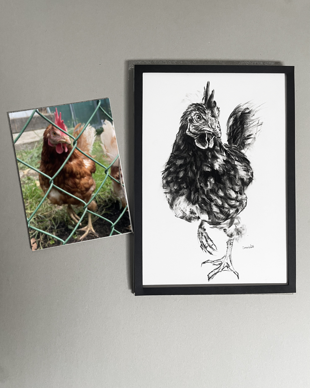 Ritratto animale a carboncino