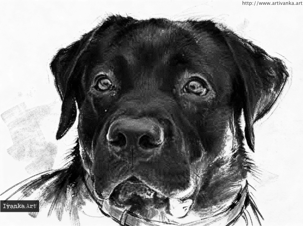 Ritratto a carboncino realistico di un cane