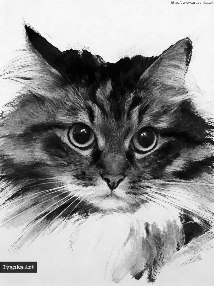 Ritratto artistico di un gatto