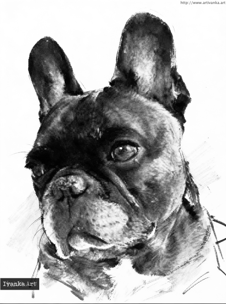Ritratto artistico espressivo di buldog francese