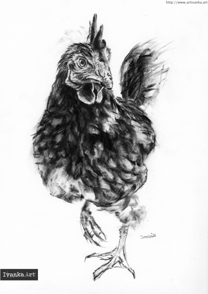 Ritratto artistico di una gallina