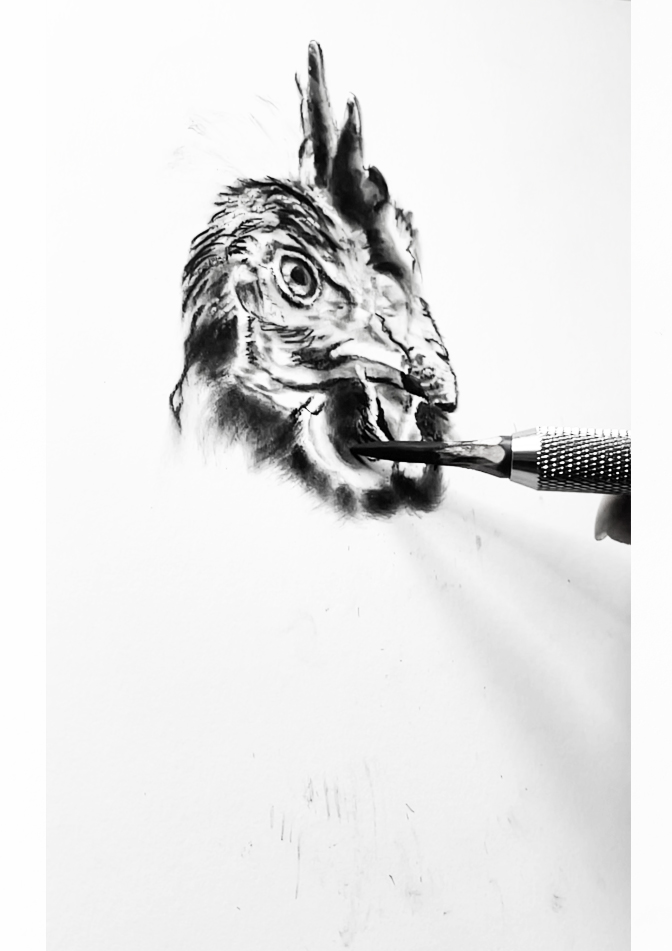 Fase intermedia del disegno a carboncino
